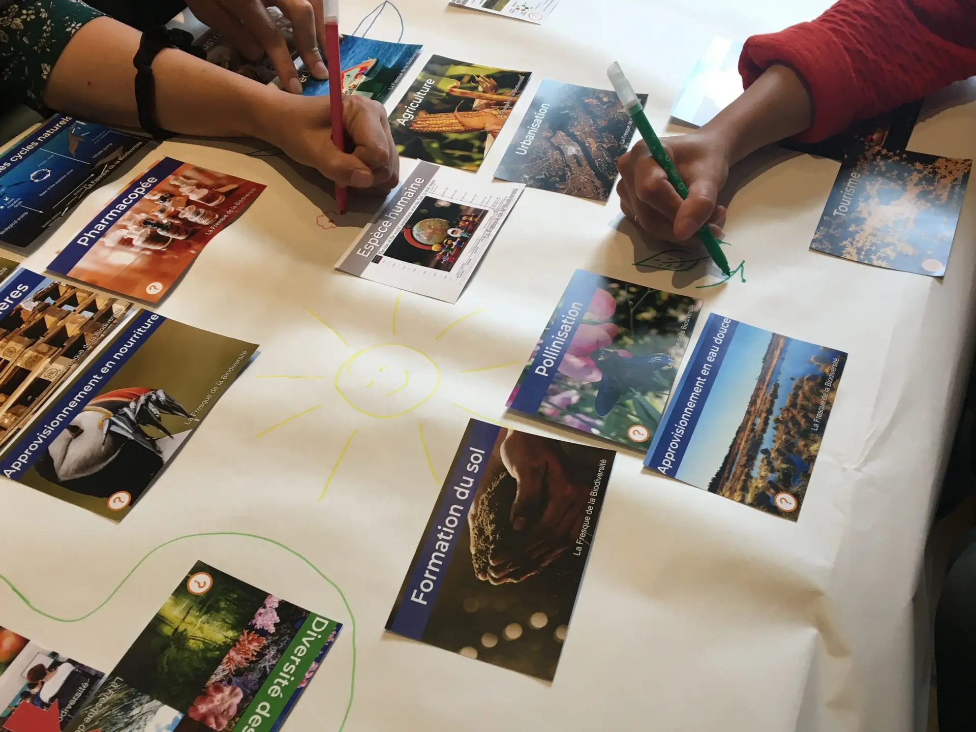 Photo d'un atelier Fresque de la Biodiversité